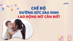 Chế độ dưỡng sức sau sinh, mọi lao động nữ nên biết