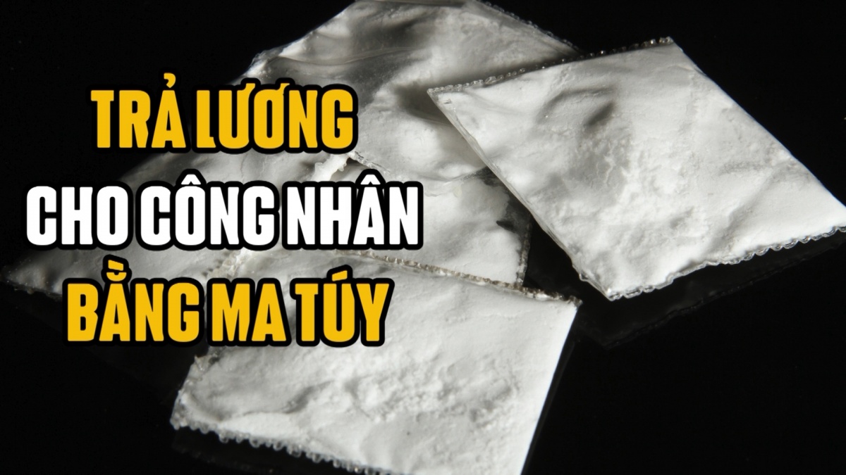 Trả lương cho công nhân bằng ma túy