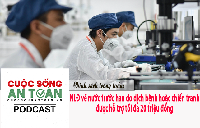 NLĐ về nước trước hạn do dịch bệnh hoặc chiến tranh được hỗ trợ tối đa 20 triệu đồng